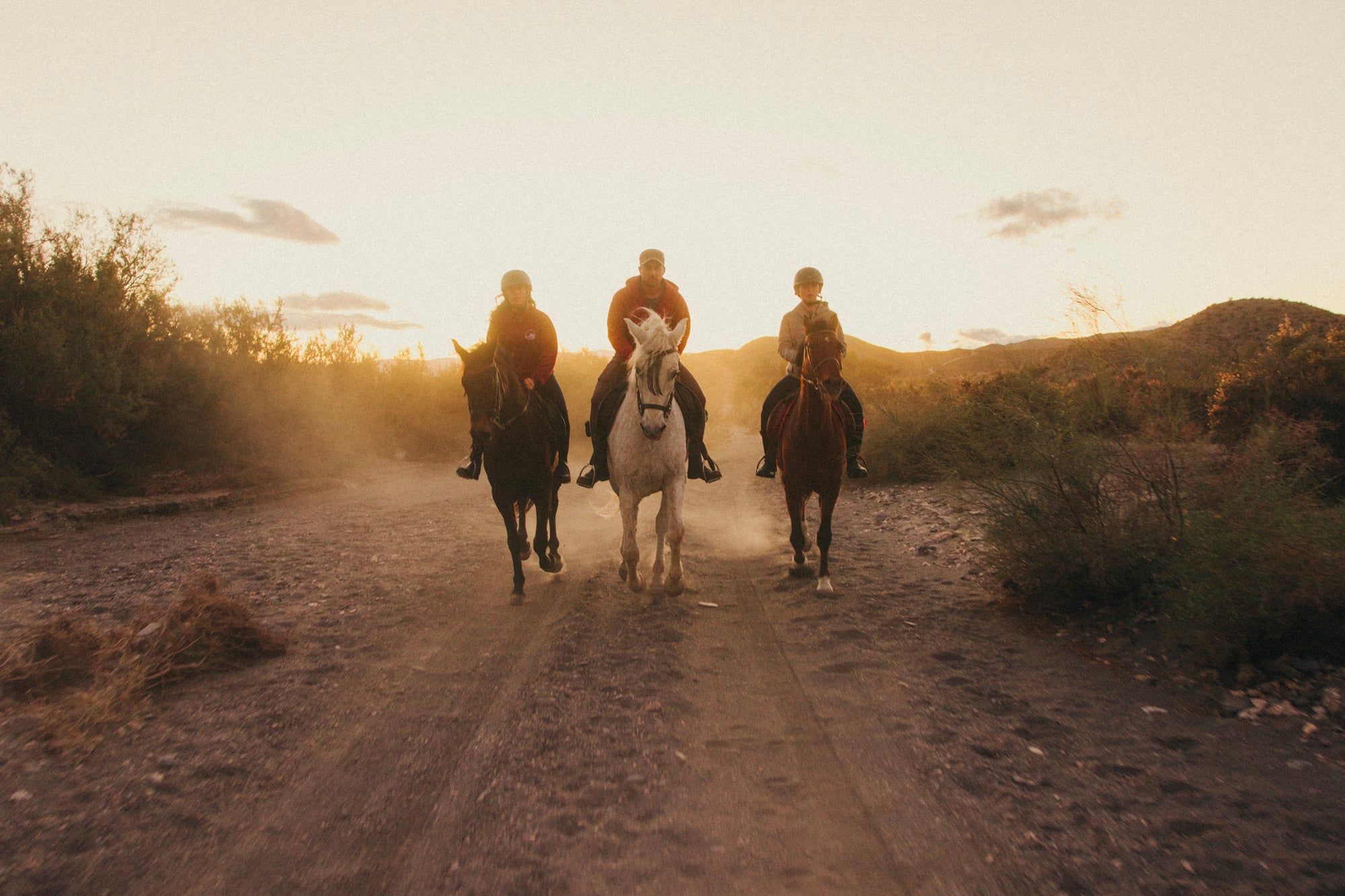 Gold 200 Preset Pack by Alex Strohl