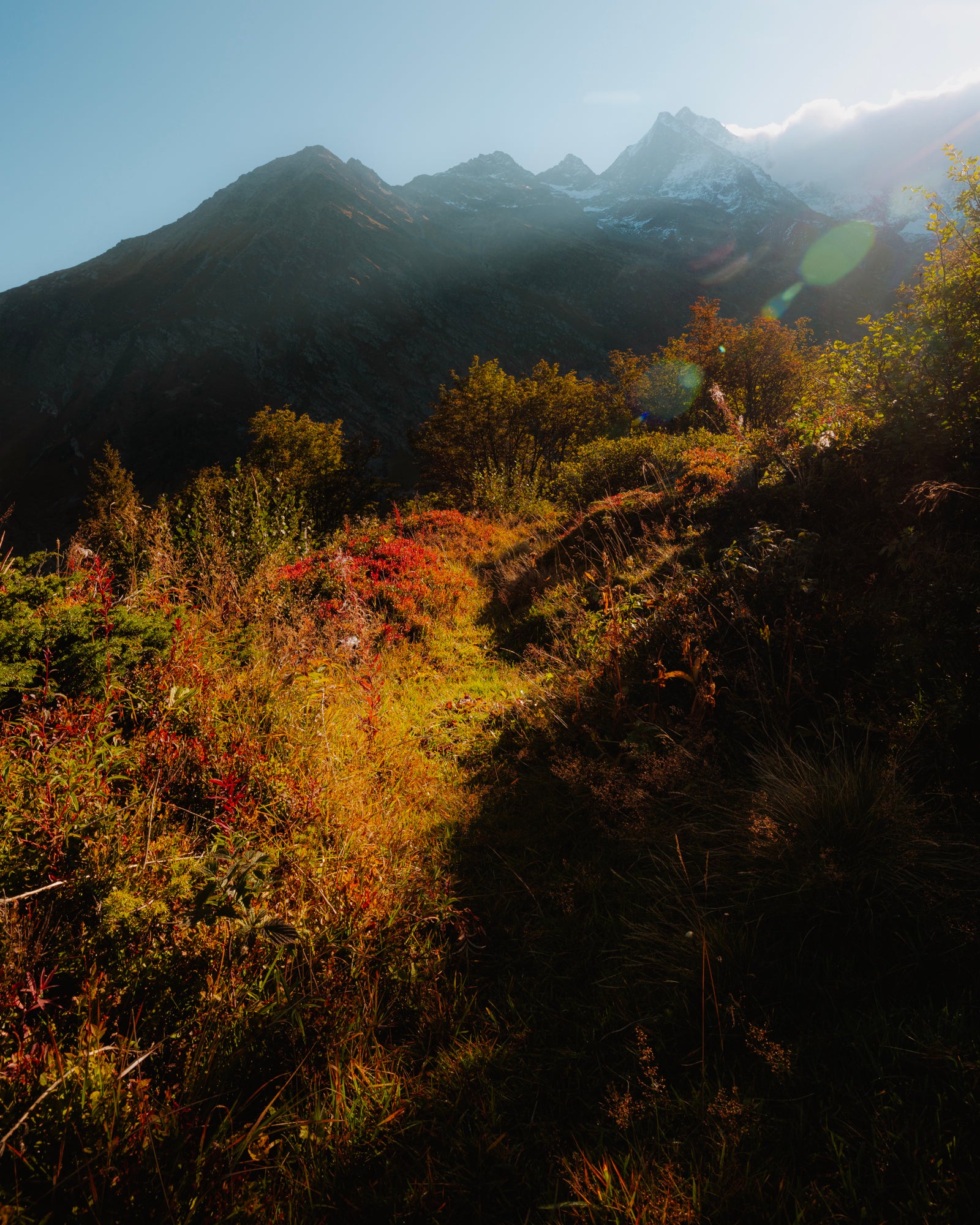 AS2 WILD Lightroom Preset Pack by Alex Strohl